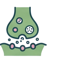 Line drawing of a synapse releasing rounded neurotransmitter particles.