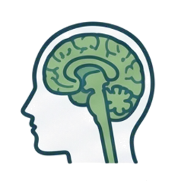 Line drawing of a head in profile with the brain's structure visible inside.